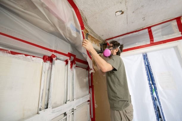 Best Mold Removal for HVAC Installations  in Taft, FL